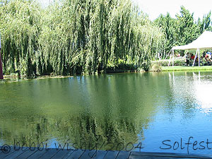 Pond at Solar Living Institute  - photo: bobbi wisby
